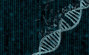 Using data from externally controlled trials in rare disease clinical development